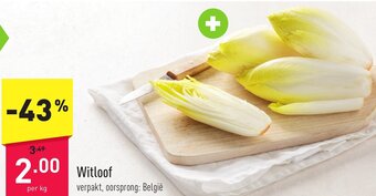 ALDI Witloof aanbieding