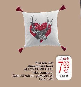 Cora Kussen met afneembare hoes aanbieding