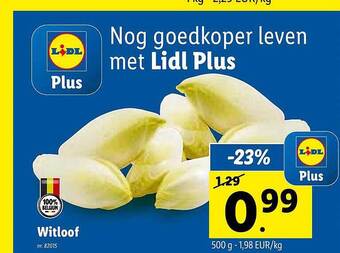 Lidl Witloof aanbieding