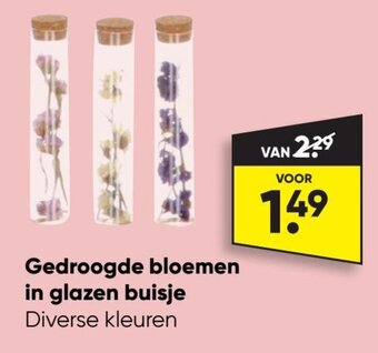 Big Bazar Gedroogde bloemen in glazen buisje aanbieding