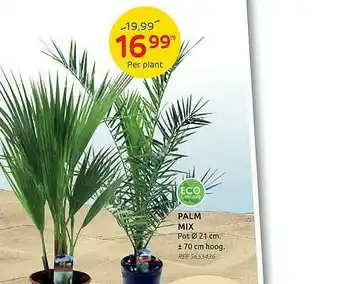 Eco Palm Mix