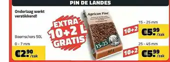 Pin De Landes