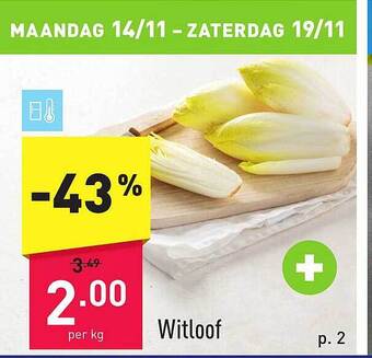 ALDI Witloof aanbieding
