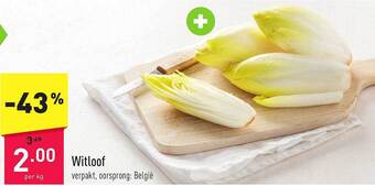 ALDI Witloof aanbieding