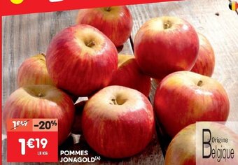 Pommes Jonagold