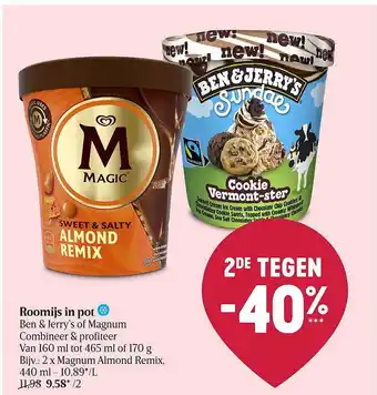 Delhaize Roomijs in pot ben & jerry's of magnum aanbieding