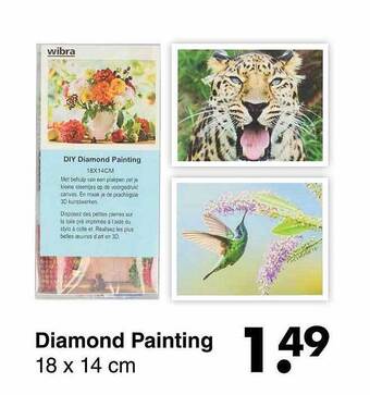 Wibra Diamond painting aanbieding
