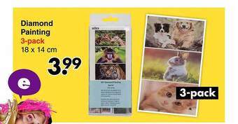 Wibra Diamond painting aanbieding