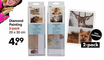 Wibra Diamond painting aanbieding