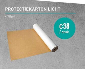 Protectiekarton licht