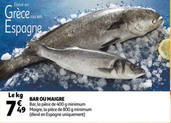 Bar Ou Maigre