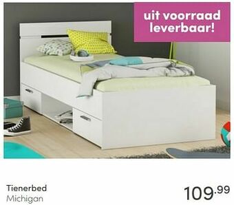 Baby & Tiener Tienerbed michigan aanbieding