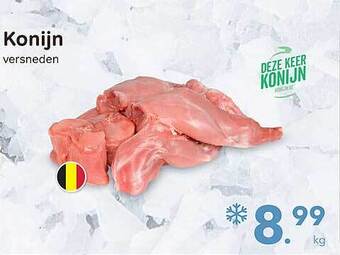 Bon Ap Konijn aanbieding