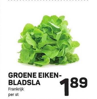 Ekoplaza Groene eikenbladsla aanbieding