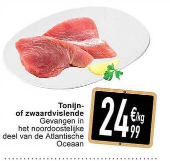 Cora Tonijn of zwaardvislende aanbieding
