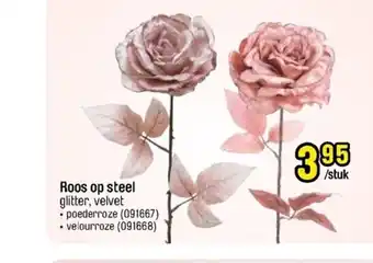 Roos op steel