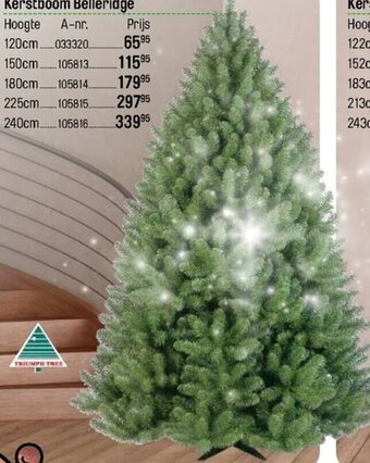 Happyland Kerstboom Belleridge 150cm aanbieding