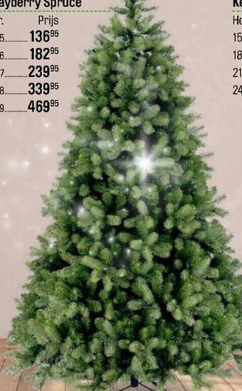 Happyland kerstboom Bayberry Spruce 152cm aanbieding