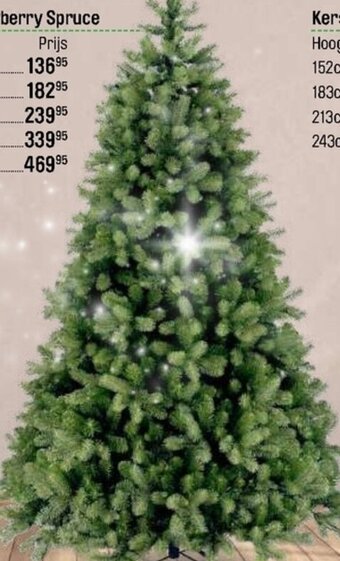 Happyland kerstboom Bayberry Spruce 183cm aanbieding