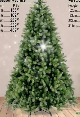 Happyland kerstboom Bayberry Spruce 213cm aanbieding