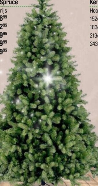 Happyland kerstboom Bayberry Spruce 243cm aanbieding