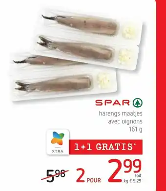 Harengs maatjes avec oignons 161g