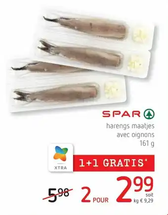 Harengs maatjes avec oignons 1kg