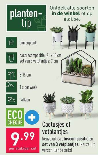 Cactusjes of vetplantjes