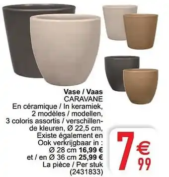 Cora Vase - vaas caravane aanbieding