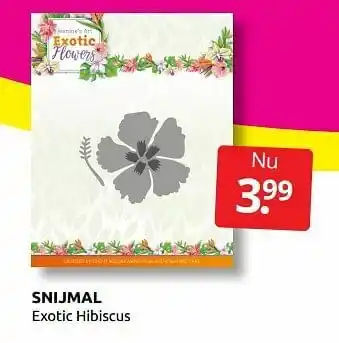 Snijmal exotic hibiscus