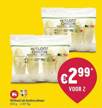 Delhaize Witloof uit hydrocultuur aanbieding