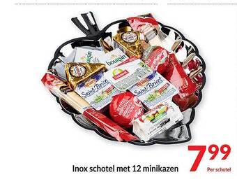 Inox schotel met 12 minikazen