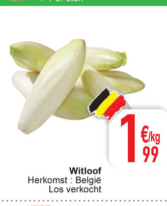 Witloof