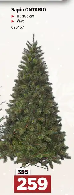 Mr Bricolage Sapin ontario 183cm aanbieding