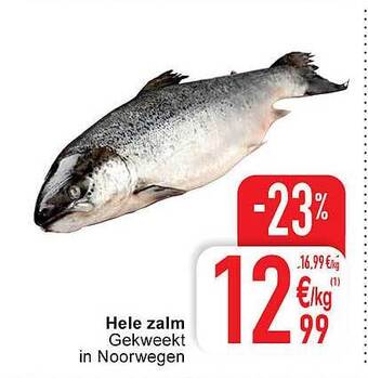 Cora Hele zalm aanbieding