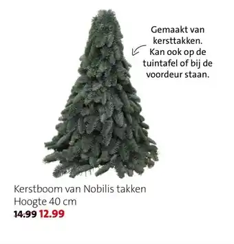 Intratuin Kerstboom van nobilis takken aanbieding