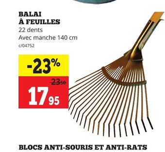 Balai a feuilles