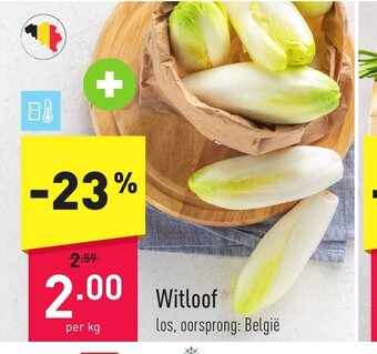 ALDI Witloof per kg aanbieding