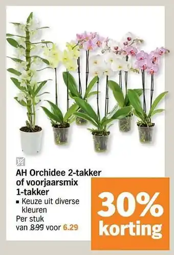 Albert Heijn Ah orchidee 2-takker of voorjaarsmix aanbieding