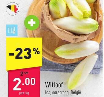 ALDI Witloof aanbieding