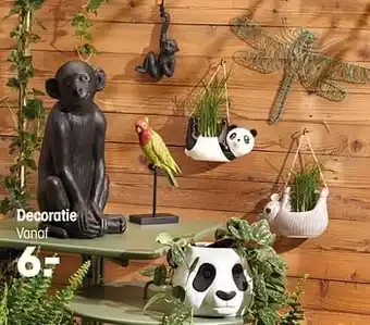 Kwantum Decoratie aanbieding