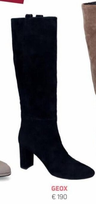 Torfs Geox aanbieding