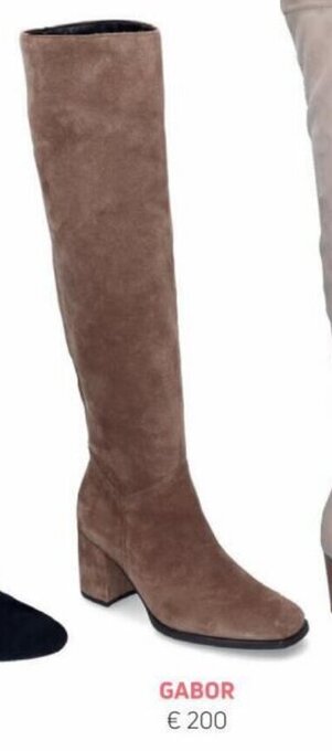 Torfs Gabor aanbieding
