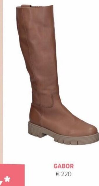 Torfs Gabor aanbieding