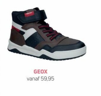 Torfs Geox aanbieding