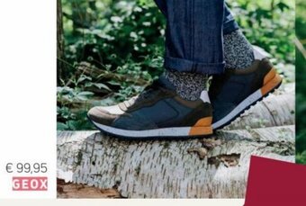Torfs Geox aanbieding