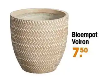 Kwantum Bloempot voiron aanbieding