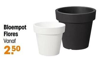 Kwantum Bloempot flores aanbieding