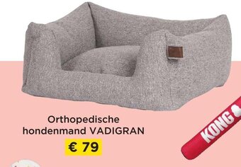 Molecule Vadigran Orthopedische Hondenmand aanbieding