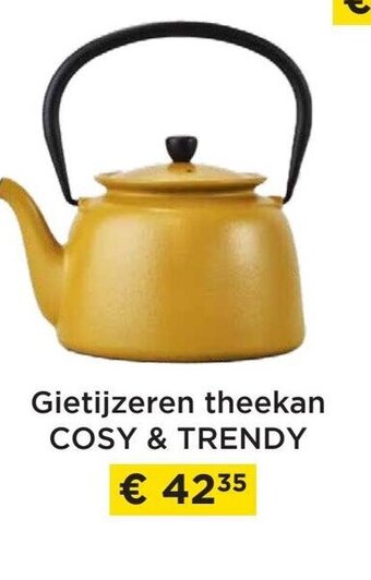 Gietijzeren theekan cosy & trendy